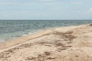 Παραλία Πλατανίτη